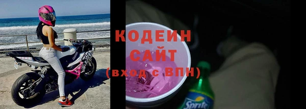 ГАЛЛЮЦИНОГЕННЫЕ ГРИБЫ Бородино