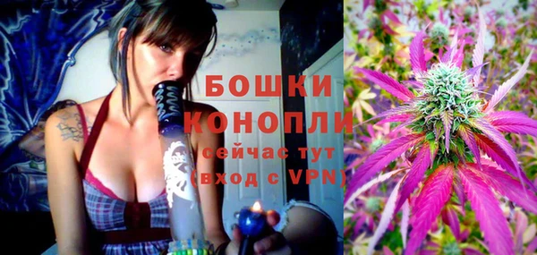 ГАЛЛЮЦИНОГЕННЫЕ ГРИБЫ Бородино