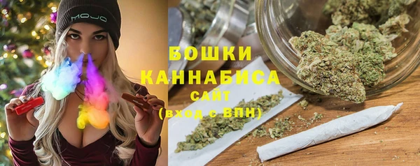 ГАЛЛЮЦИНОГЕННЫЕ ГРИБЫ Бородино