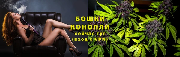 винт Бронницы