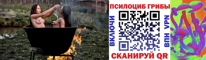Галлюциногенные грибы прущие грибы  Купить закладки  Волхов 