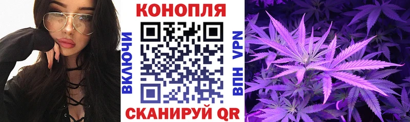 Купить  Волхов  МАРИХУАНА OG Kush 
